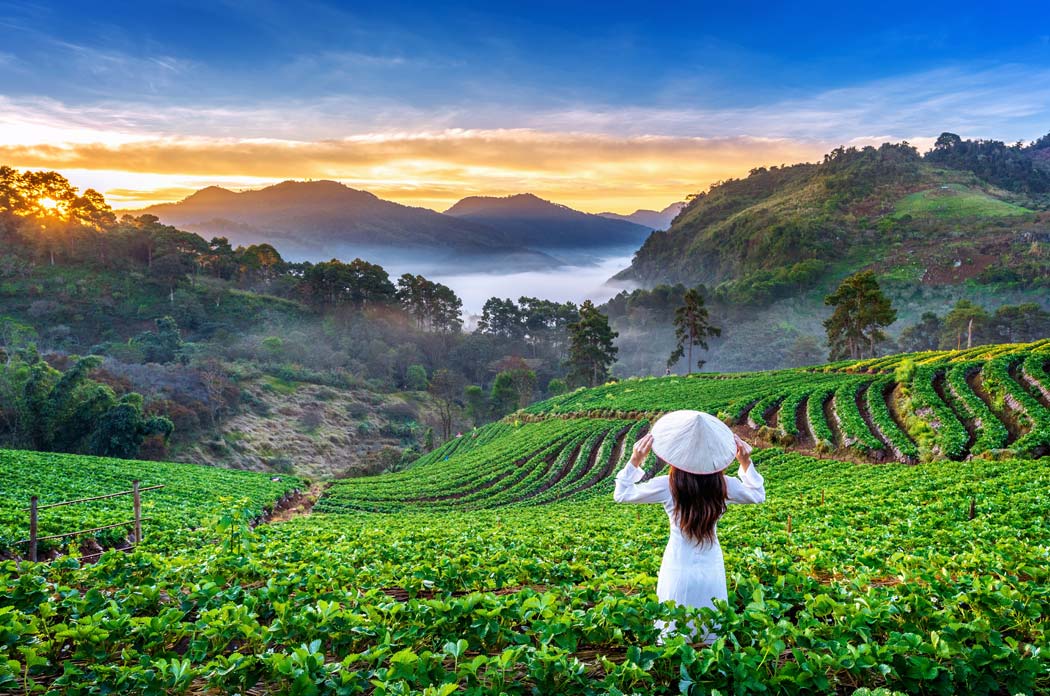 When is the best time to visit Munnar-summer, winter, or monsoon?