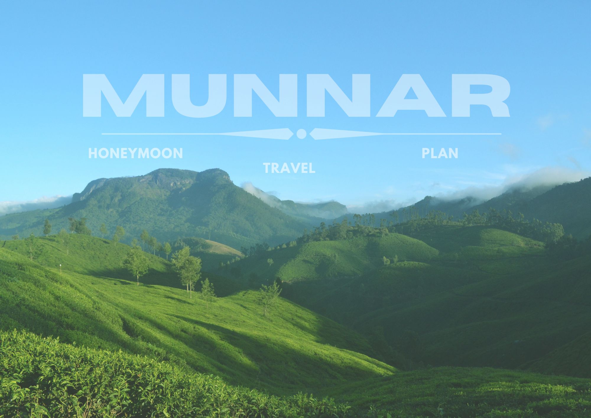 Munnar Honeymoon Travel Plan