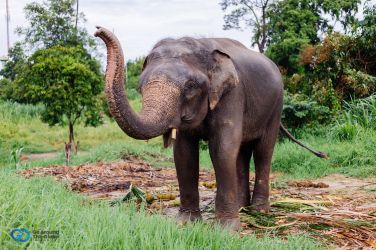 Kerala tour packages from Uttar Pradesh