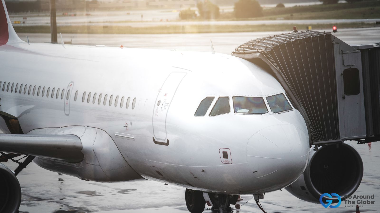 fly from Kochi to Munnar on a seaplane