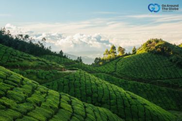 Munnar Tour Packages from Hyderabad