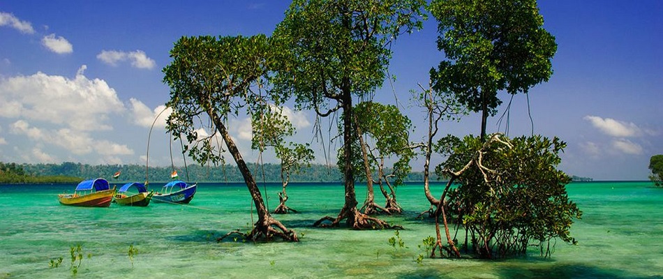 Andaman Honeymoon