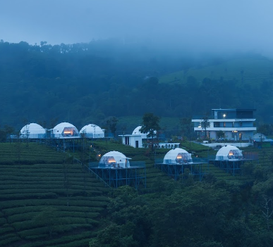 4 Days 3 Nights Munnar Vagamon Glamp Tour Package