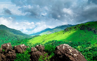 Cochin Arrival to Munnar