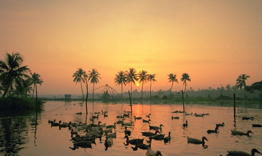 Munnar Sightseeing's