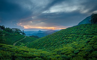 Munnar Sightseeing