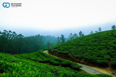 kerala-tour-packages-from-madhya-pradesh