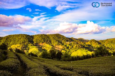 Kerala Tour Packages from Jharkhand