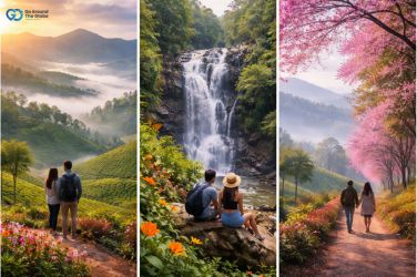 munnar tour packages