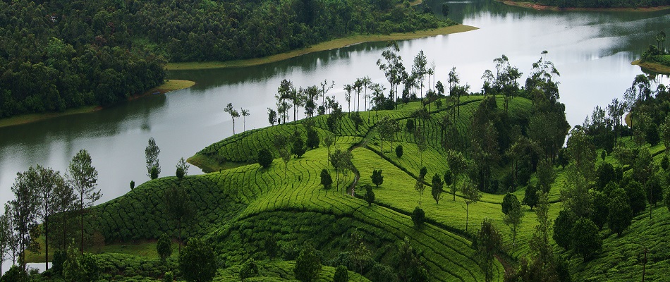 3 Days Honeymoon Wayanad Package