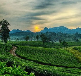 3 Nights 4 Days Wayanad & Ooty Tour Package