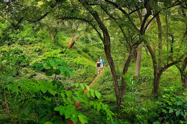 Munnar to Thekkady